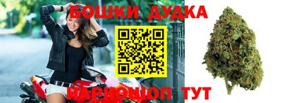 дживик Моздок