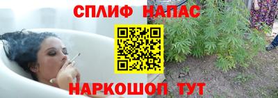 гидропоника Можайск