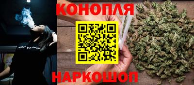 дживик Моздок