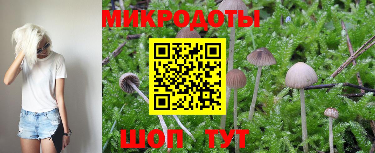 Псилоцибиновые грибы Psilocybine cubensis Сургут