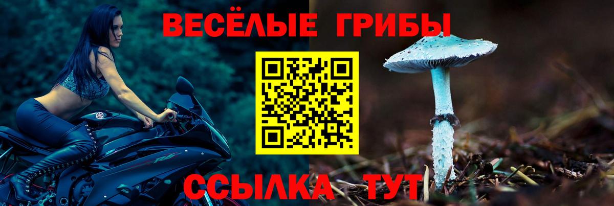 Сургут  Псилоцибиновые грибы MAGIC MUSHROOMS  Галлюциногенные грибы мицелий  Вход с VPN 